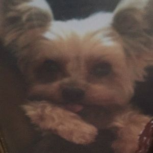 Meet your Posher, Patty